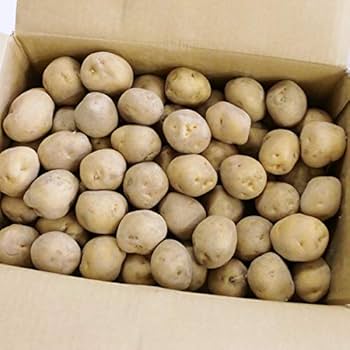 AI　北海道産訳ありキタアカリ　80キロ AI 北海道産訳ありキタアカリ 80キロ AI 北海道産訳あり